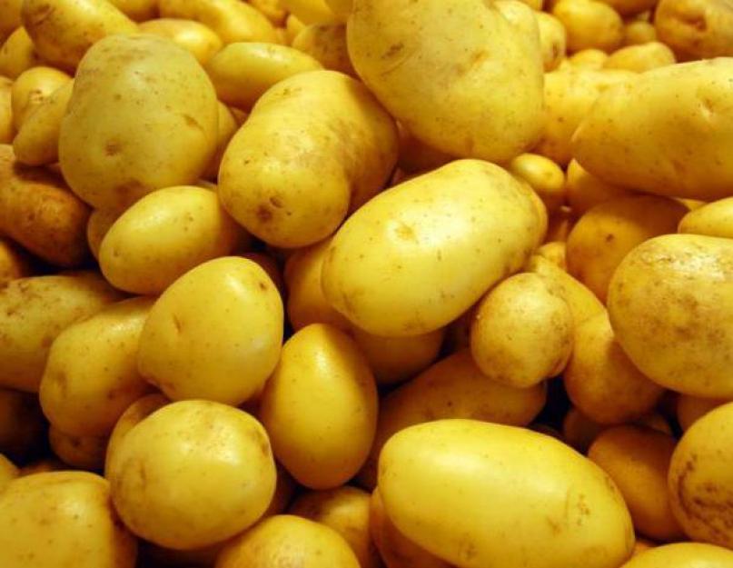 На каком расстоянии посадить картошку. Консервативные и оригинальные методы посадки картофеля