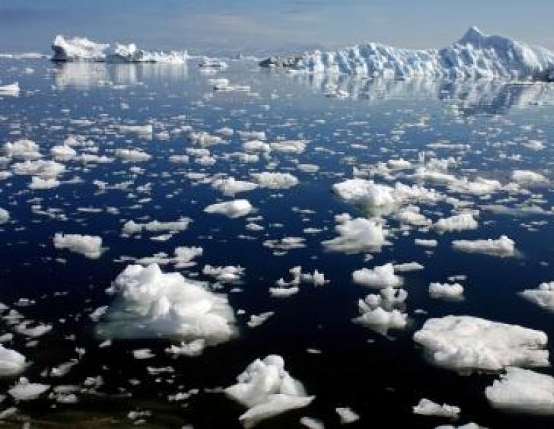 Отрицательные последствия и причины таяние ледников планеты. Что будет, если растают ледники Антарктиды? (7 фото)