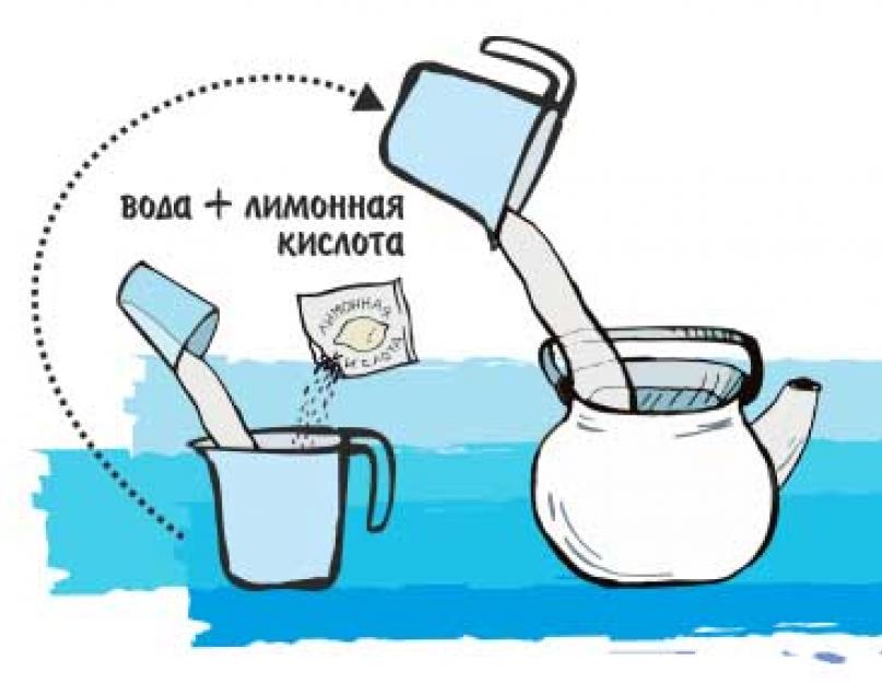 Полить гортензию лимонной кислотой пропорции как правильно