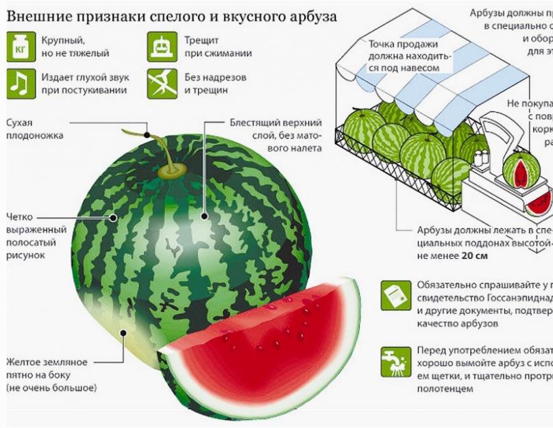 Спелый арбуз признаки как выбрать и сладкий с фото